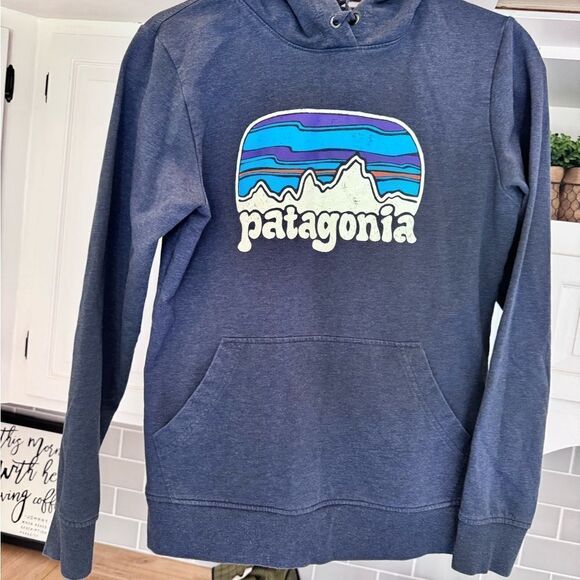 Patagonia blue hoodie size small India hand warmer - Picture 3 of 11